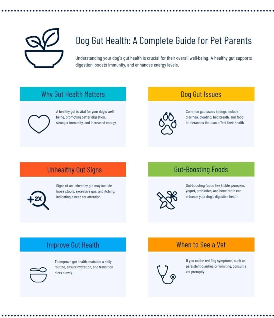 Screenshot_2025-04-19-21-08-33-442-edit_com.android.chrome Infographic explaining dog gut health