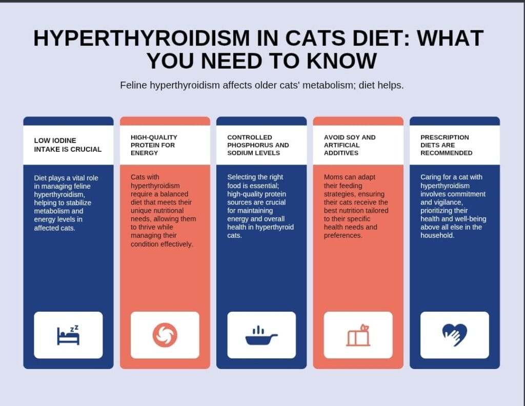 Sure! Here’s an SEO-friendly **alt text** for your infographic:**Alt Text:**
Infographic explaining the best hyperthyroidism in cats diet, including nutritional needs, recommended foods, foods to avoid, and feeding tips.